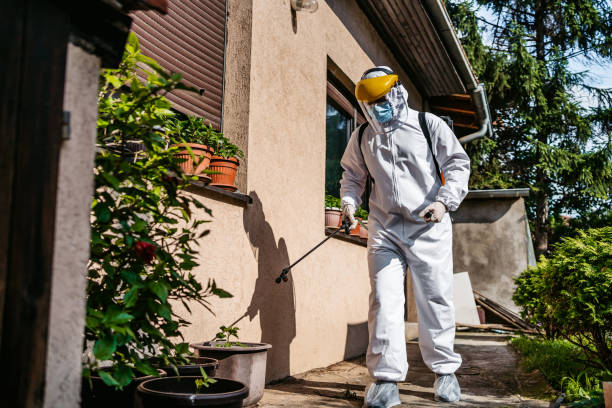 Best Local Pest Control Services  in Meadows Place, TX